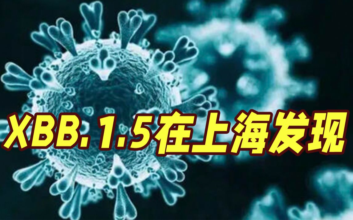 新毒株XBB.1.5在上海发现 官方公布：为境外输入