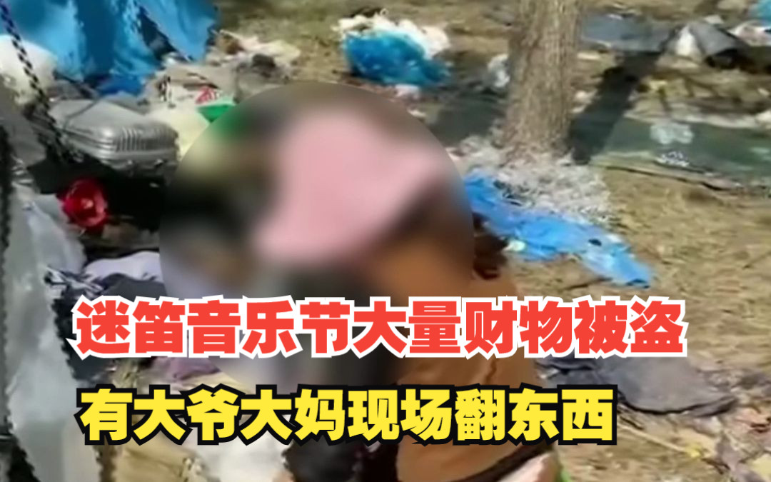 南阳迷笛音乐节大量财物被盗，失主发声：上个厕所回来帐篷就没了，有大爷大妈现场翻东西