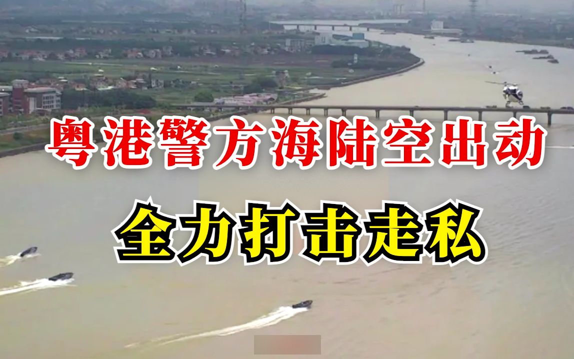 粤港两地联手扫荡！追捕走私犯现场大曝光