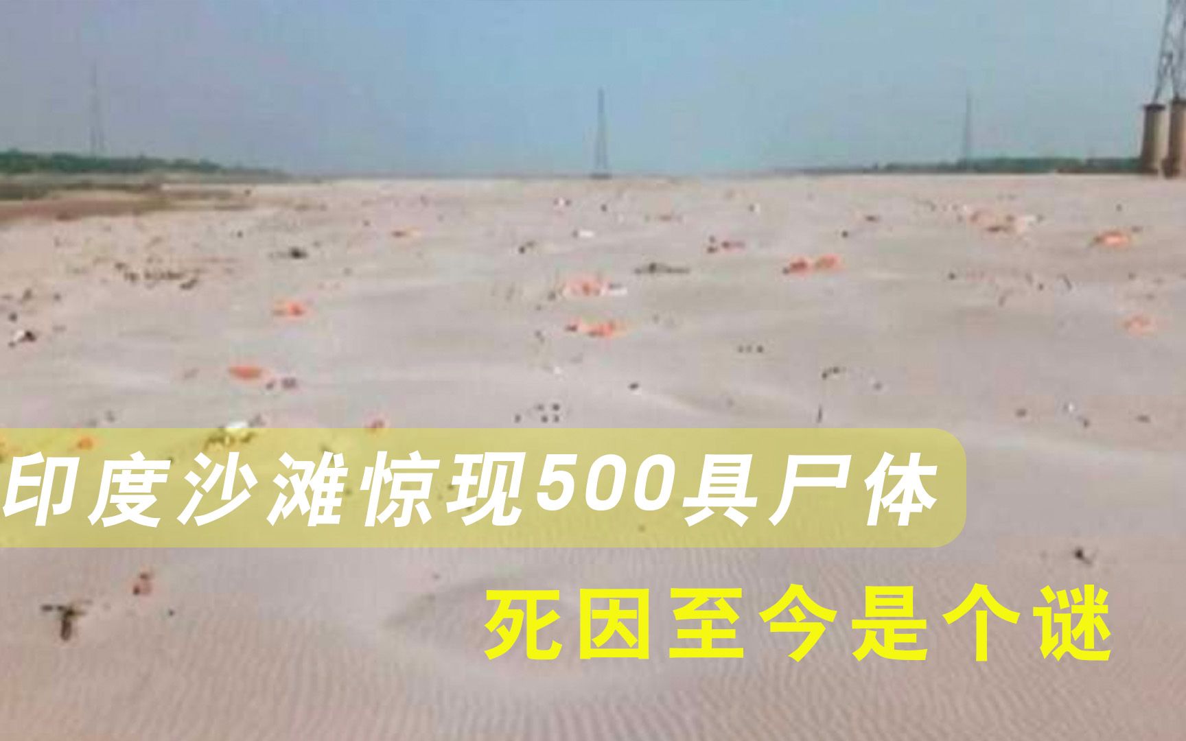 印度“恒河浮尸”持续发酵，民众再次陷入恐慌，专家却表示没有关系