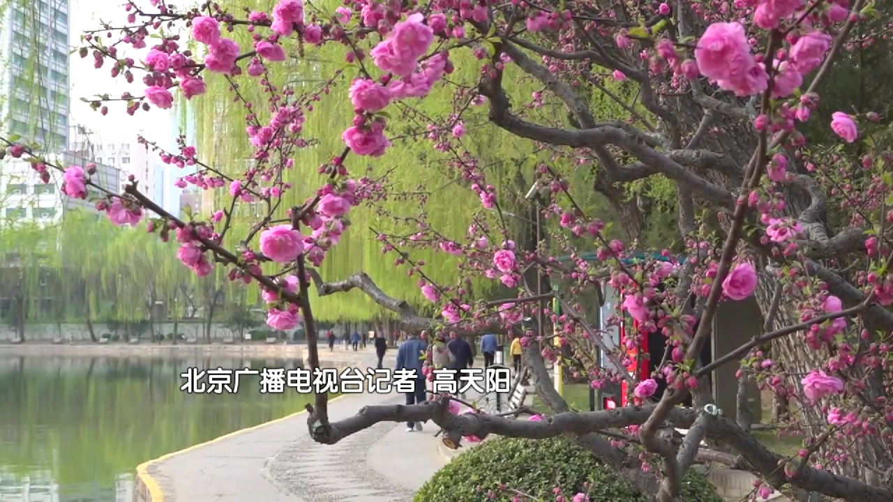 公园虽小，设施俱全！来团结湖公园晨练开启新的一天！