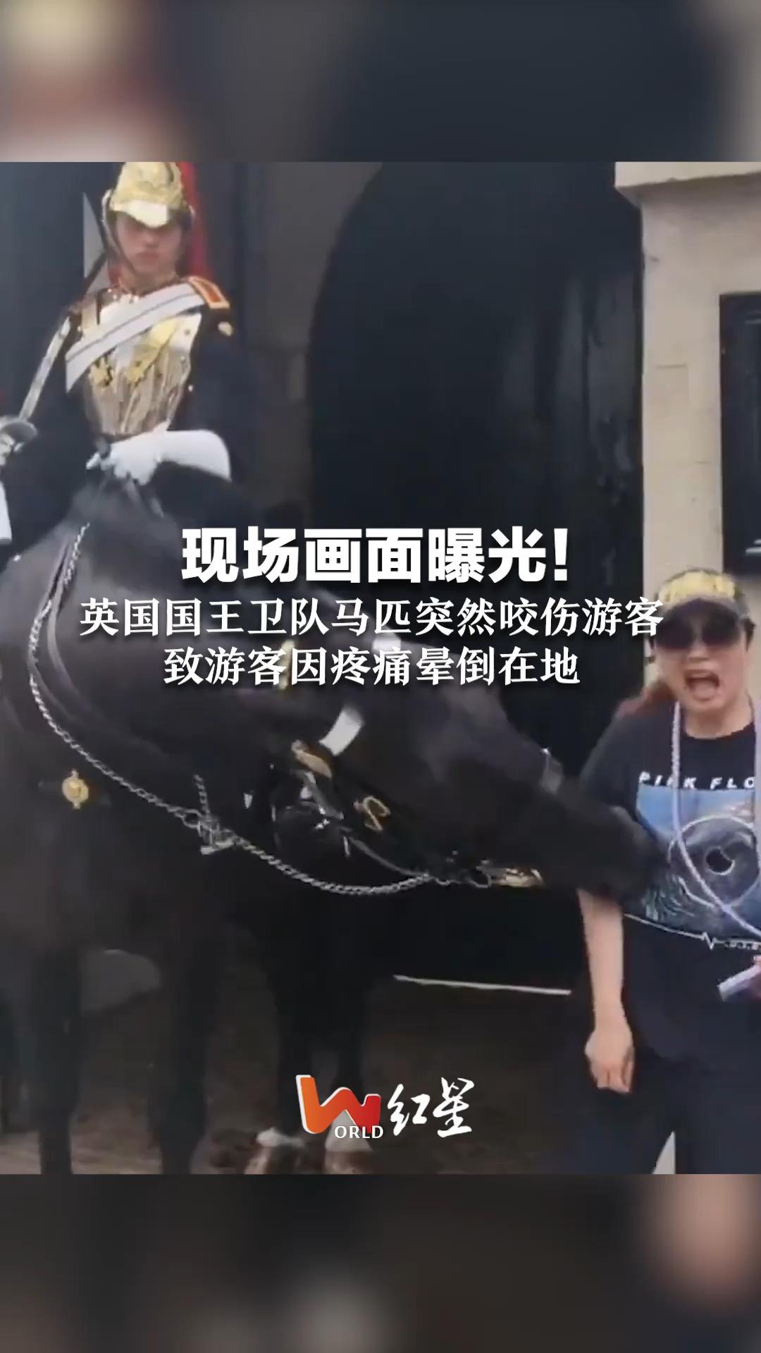 现场画面曝光！英国国王卫队马匹突然咬伤游客 致游客因疼痛晕倒在地