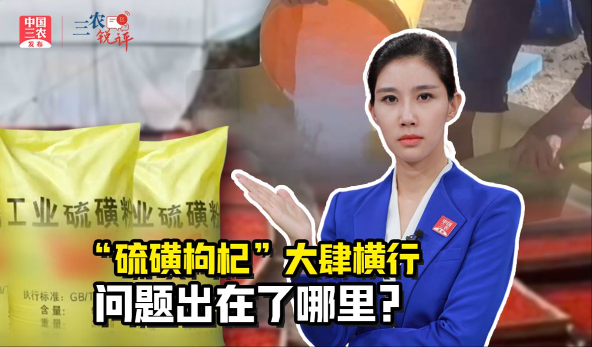 三农锐评丨“硫磺枸杞”大肆横行，问题出在了哪里？