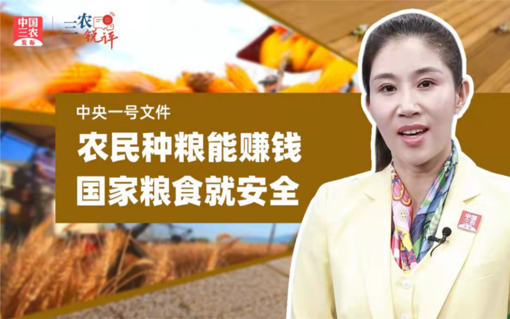 三农锐评丨农民种粮能赚钱，国家粮食就安全