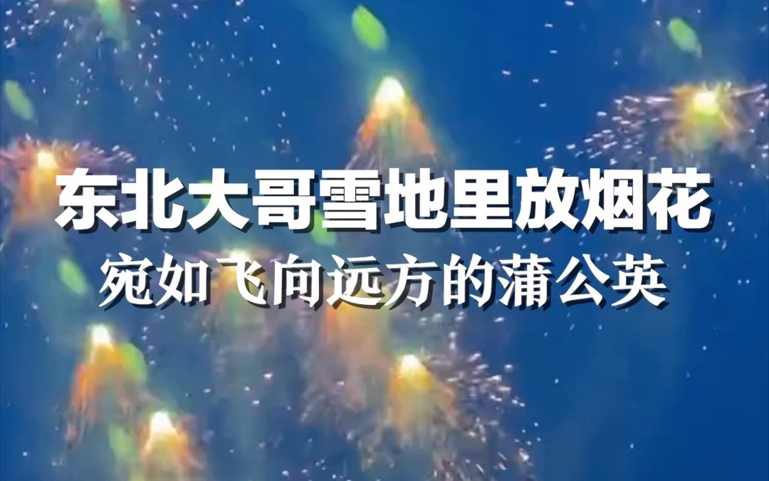 东北大哥雪地里放烟花，宛如飞向远方的蒲公英
