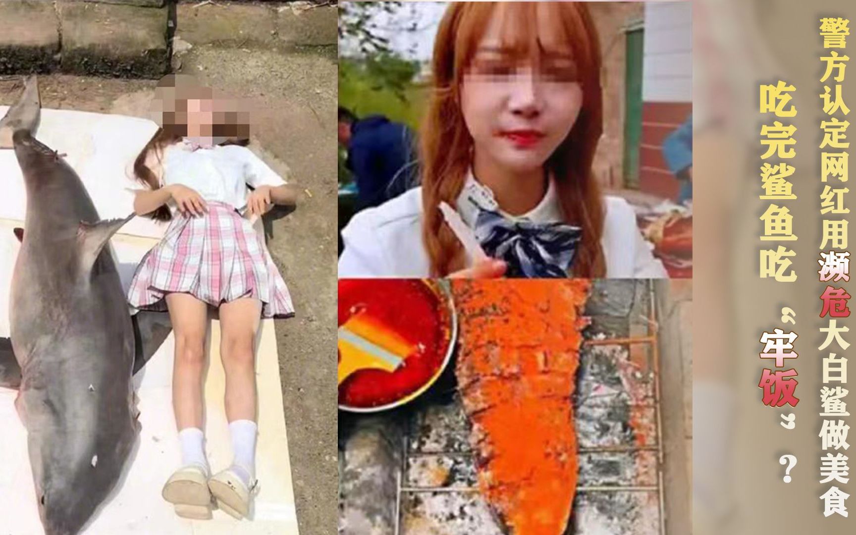 吃完鲨鱼吃“牢饭”？警方认定网红用濒危大白鲨做美食