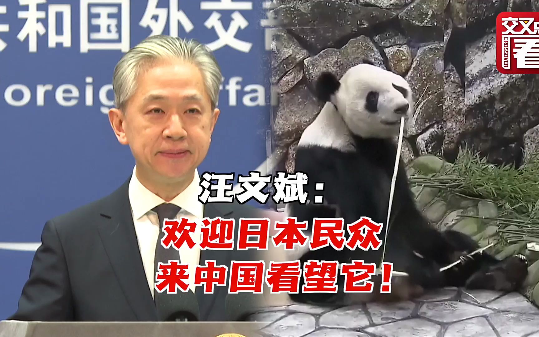 旅日大熊猫香香今日回国 汪文斌：欢迎来华看它