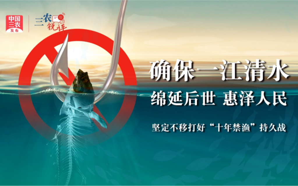 三农锐评丨确保一江清水绵延后世惠泽人民