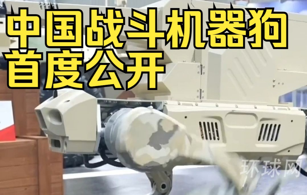 中国战斗机器狗首度公开