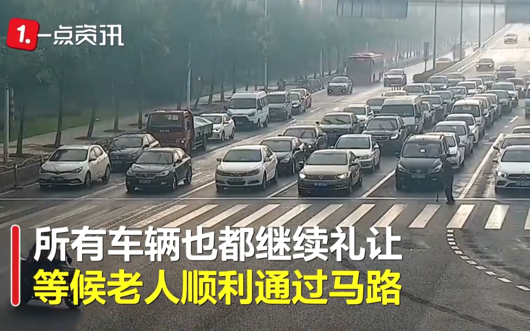 暖心！绿灯为拄拐老人多亮97秒