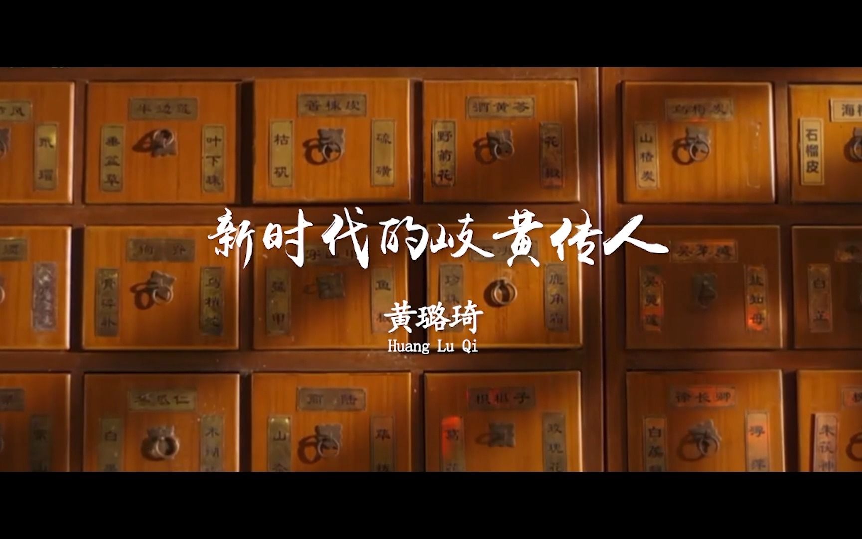 歧黄传人黄璐琦：“我的梦想是把中医药发扬光大！”【2022科学也偶像《用一个梦想带领一个团队，用一个团队实现一个梦想》】