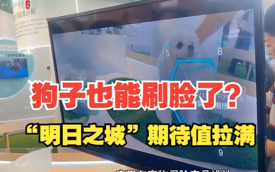 狗子也能刷脸了？今年的外滩大会“有点东西”