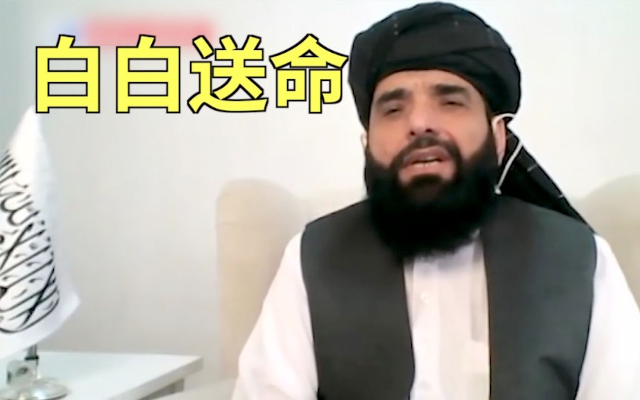塔利班发言人：41名死在阿富汗的澳大利亚士兵是“白白送命”