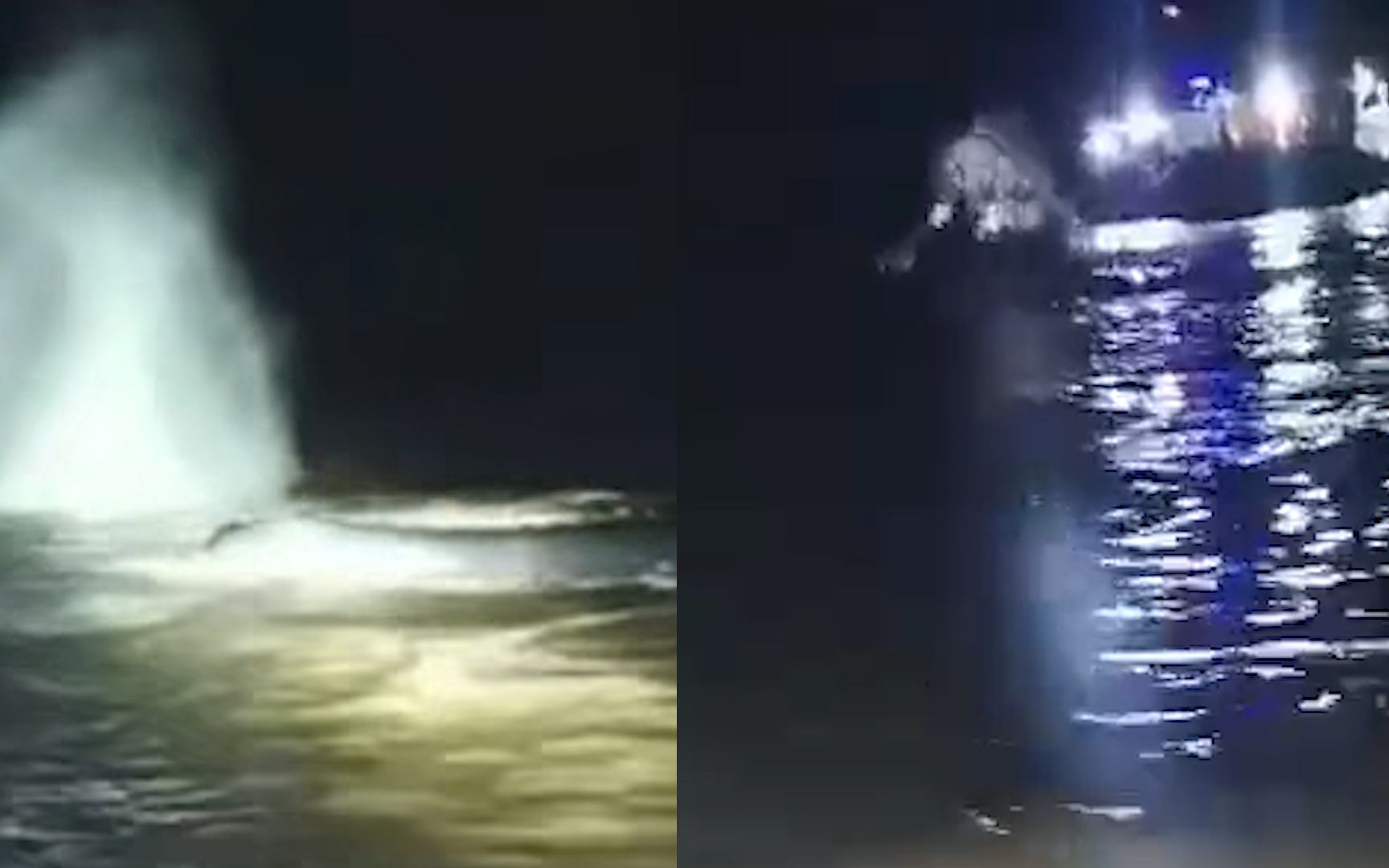 多镜头直击搁浅鲸鱼救援现场：回归深海前抹香鲸喷水翻身