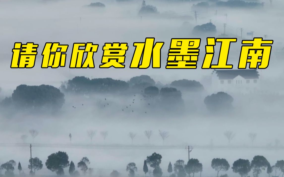 这段视频一定要看，一点开就让人惊艳！
