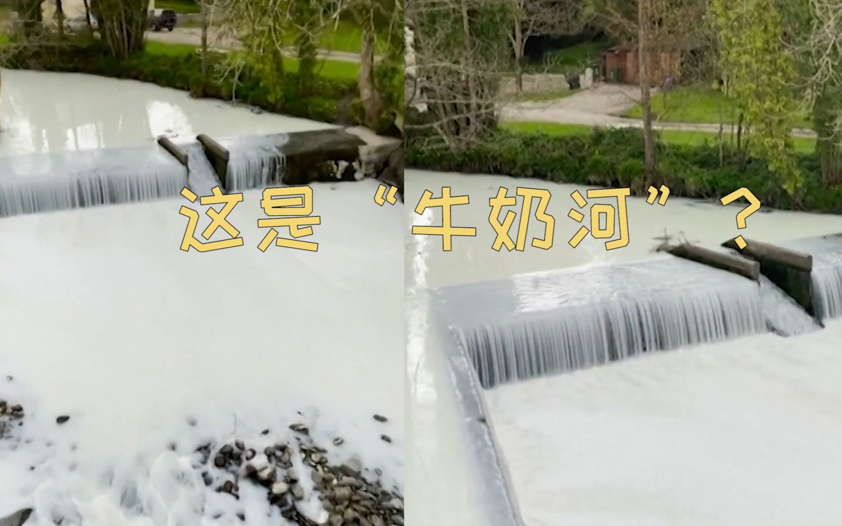 英国一牛奶罐车坠河 神奇一幕发生了：河道一片乳白秒变“牛奶河”