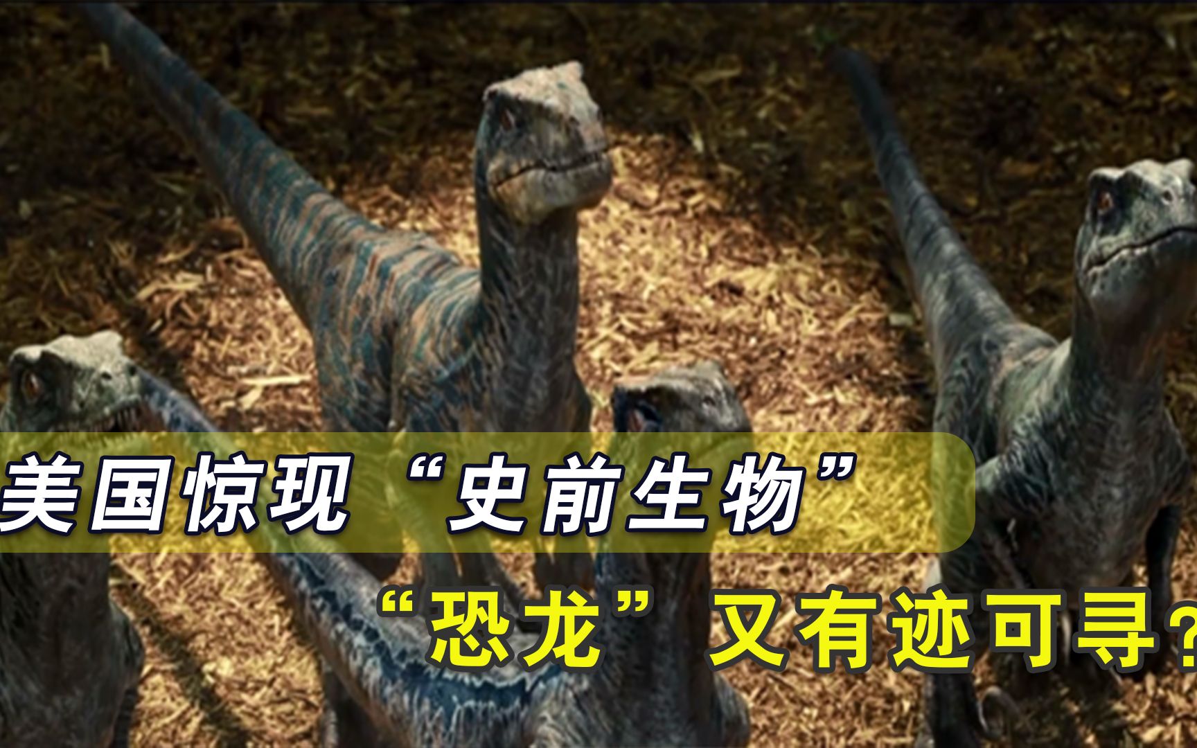 罕见！美国女子家中惊现“史前生物”，“恐龙”一脉又有迹可寻？
