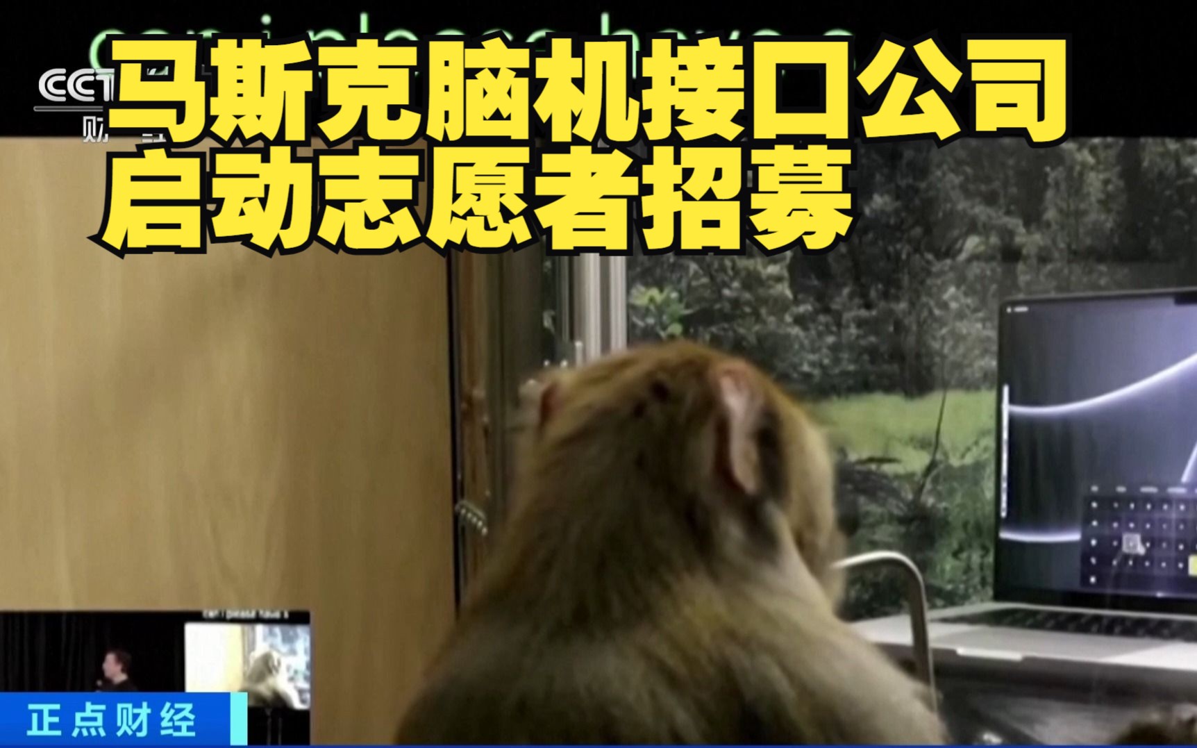 马斯克脑机接口公司获准进行人体试验