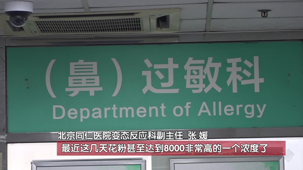 近期花粉浓度爆表！北京花粉过敏就诊人数激增