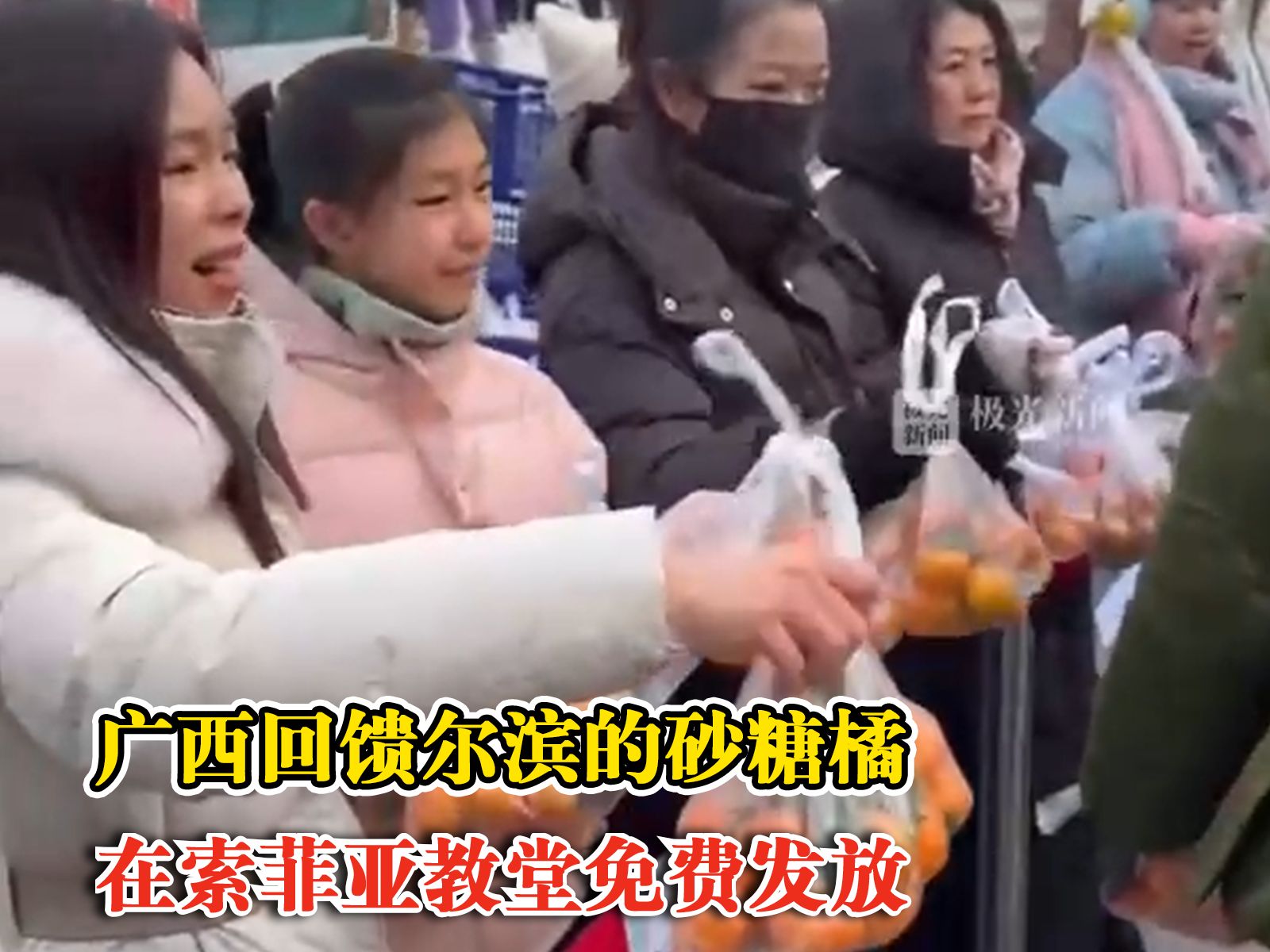 广西回馈砂糖橘抵达尔滨免费发放，网友：这橘子肯定嘎嘎甜