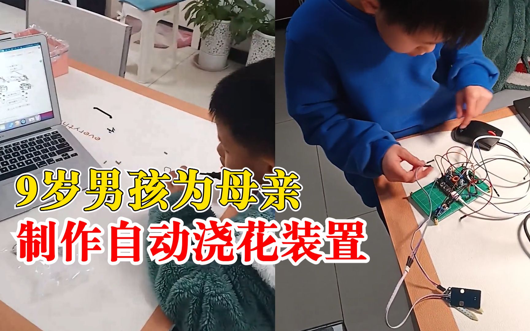 9岁男孩为妈妈做自动浇花装置：做了1天，还在调试阶段
