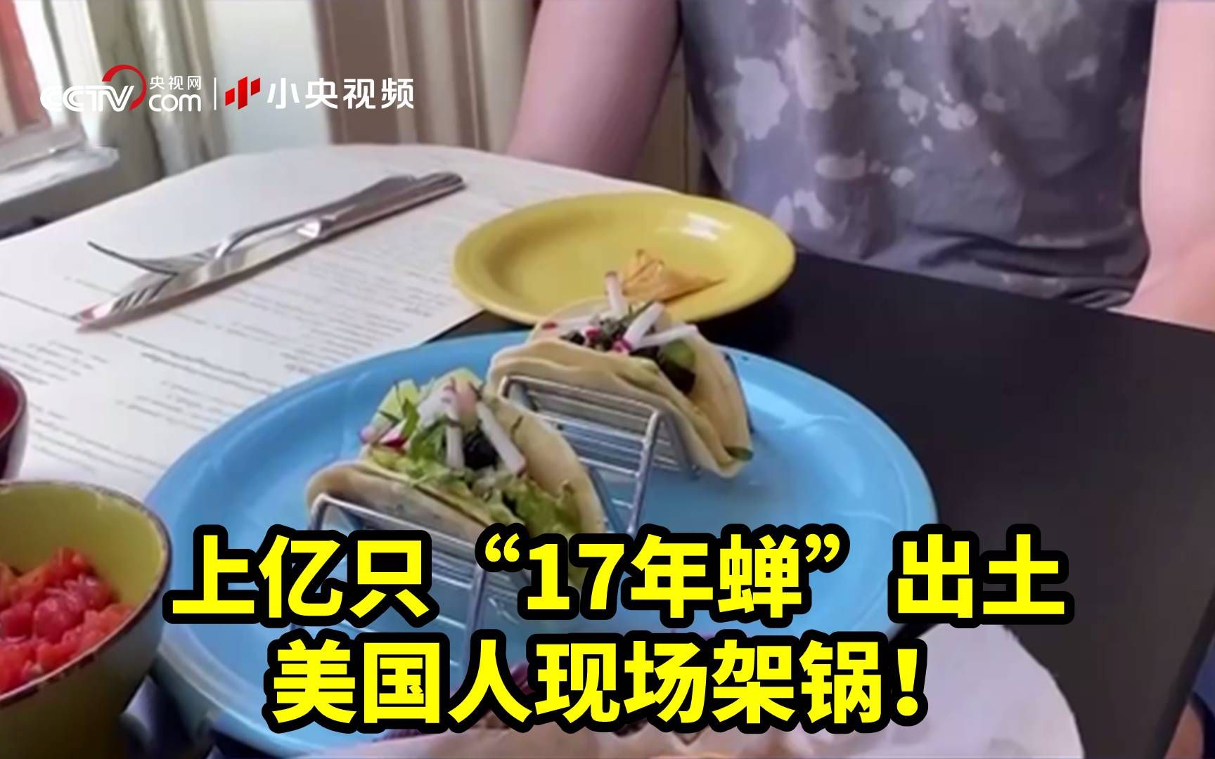 上亿只“17年蝉”出土 美国人现场架锅！