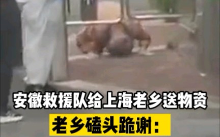 安徽救援队给上海老乡送物资，老乡下跪痛哭：你们是大菩萨啊