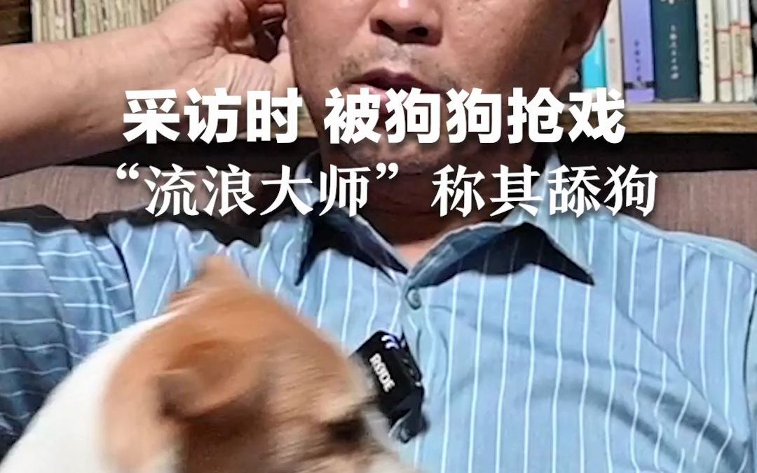 “流浪大师”沈巍被狗狗抢戏 ，称自家小狗是舔狗