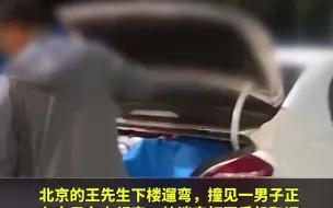 男子行窃被车主撞见 两人淡定对话笑喷众人：大哥，找啥呀？ 网友：家境优越，就是玩？