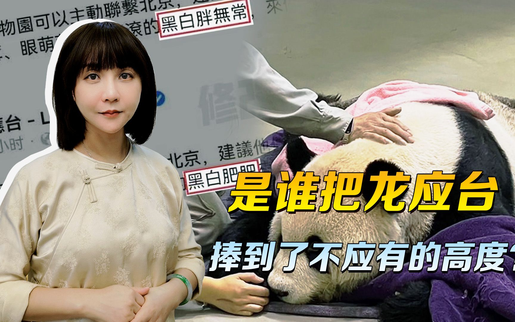 吃大熊猫 “团团”血馒头的龙应台，是谁把她捧到了不应有的高度？