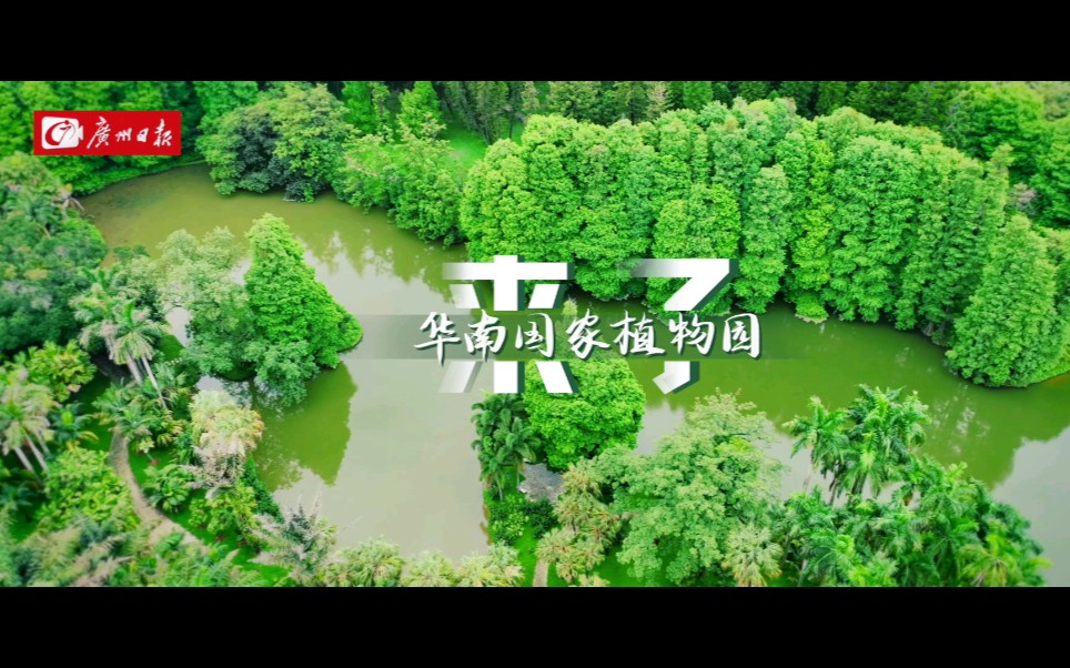 全球一流，就在广州！华南国家植物园来了！