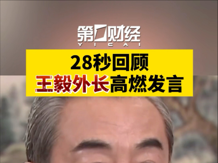 28秒回顾王毅外长高燃发言