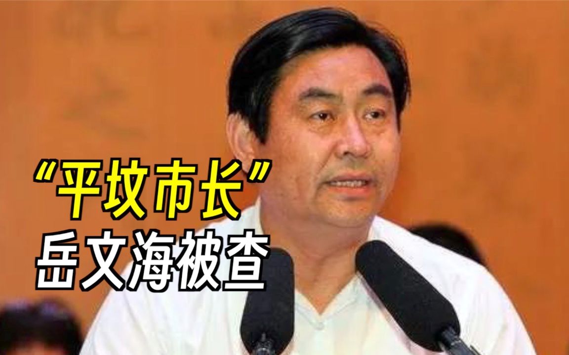 辞去公职近10年后，“平坟市长”岳文海被查