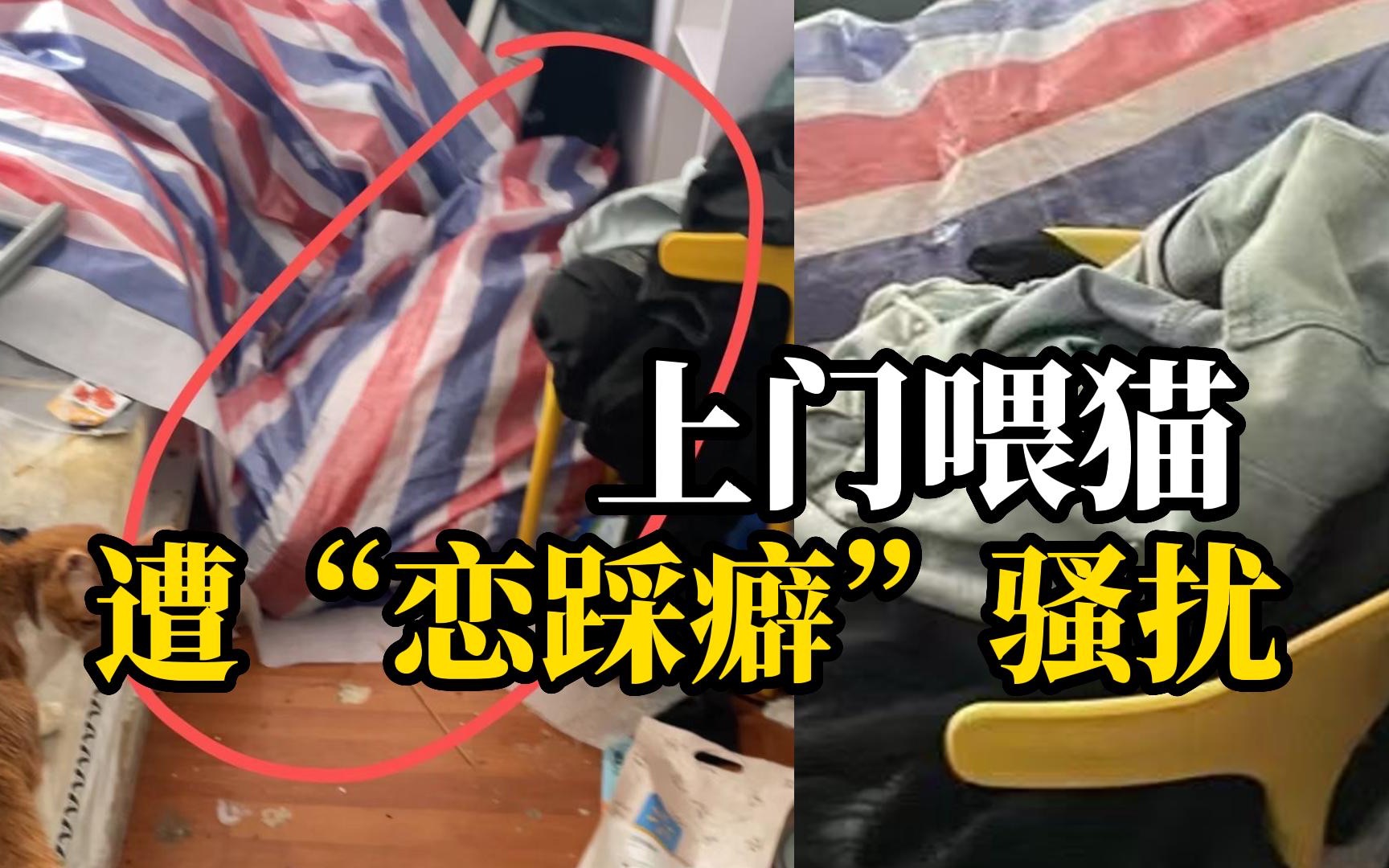 女子兼职上门喂猫遭“恋踩癖”骚扰，猫主人藏在地上的塑料袋下“享受”被踩……