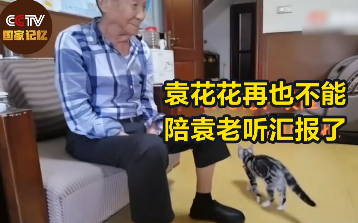 泪目！袁花花再也不能陪袁老听汇报了
