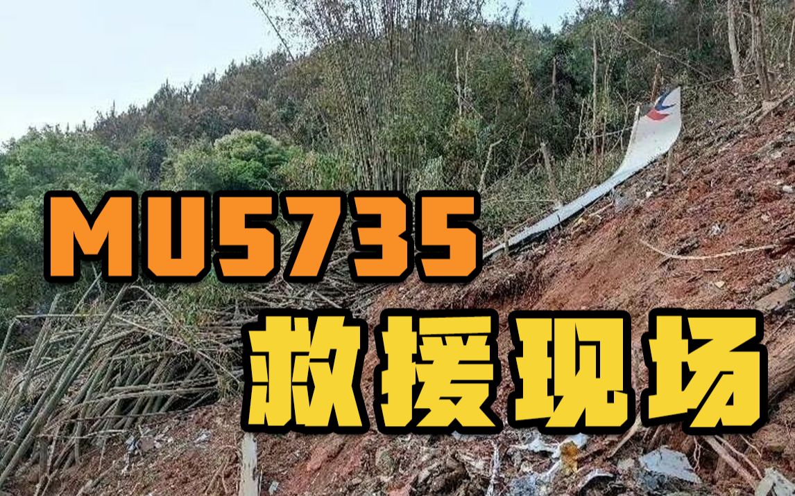 MU5735救援最新情况汇总