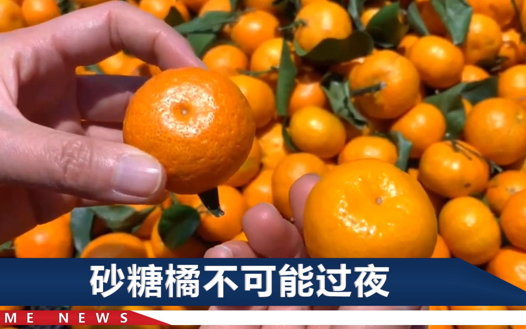“梦中情果”砂糖橘火了！有网友吃完变“小黄人”，严重吗？