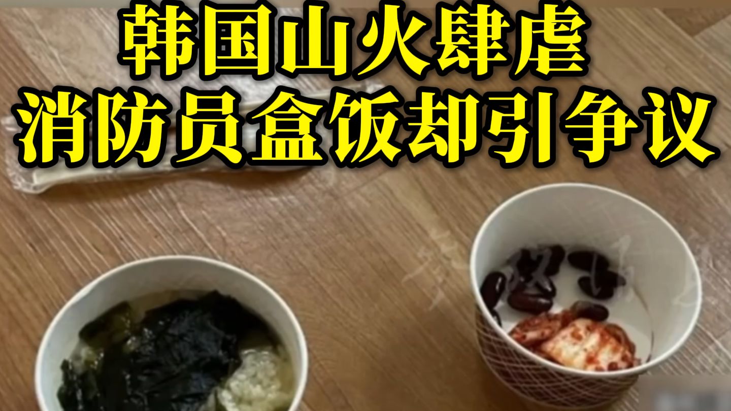 韩国山火肆虐 消防员盒饭却引争议