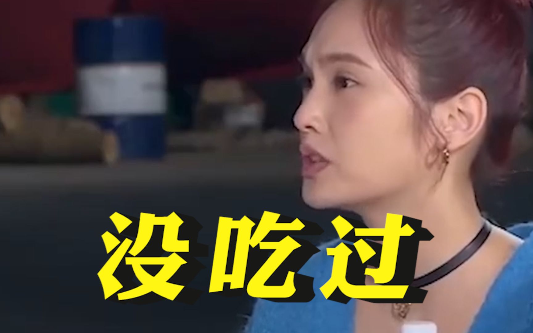 杨丞琳上综艺说“在台湾没吃过什么海鲜”，绿营竟然断章取义攻击