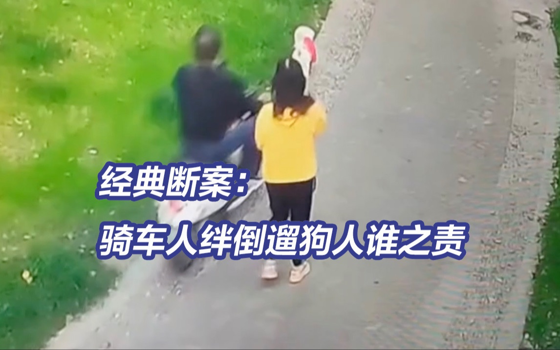 遛狗人狗绳过长被骑车人绊倒摔脸，谁担责？