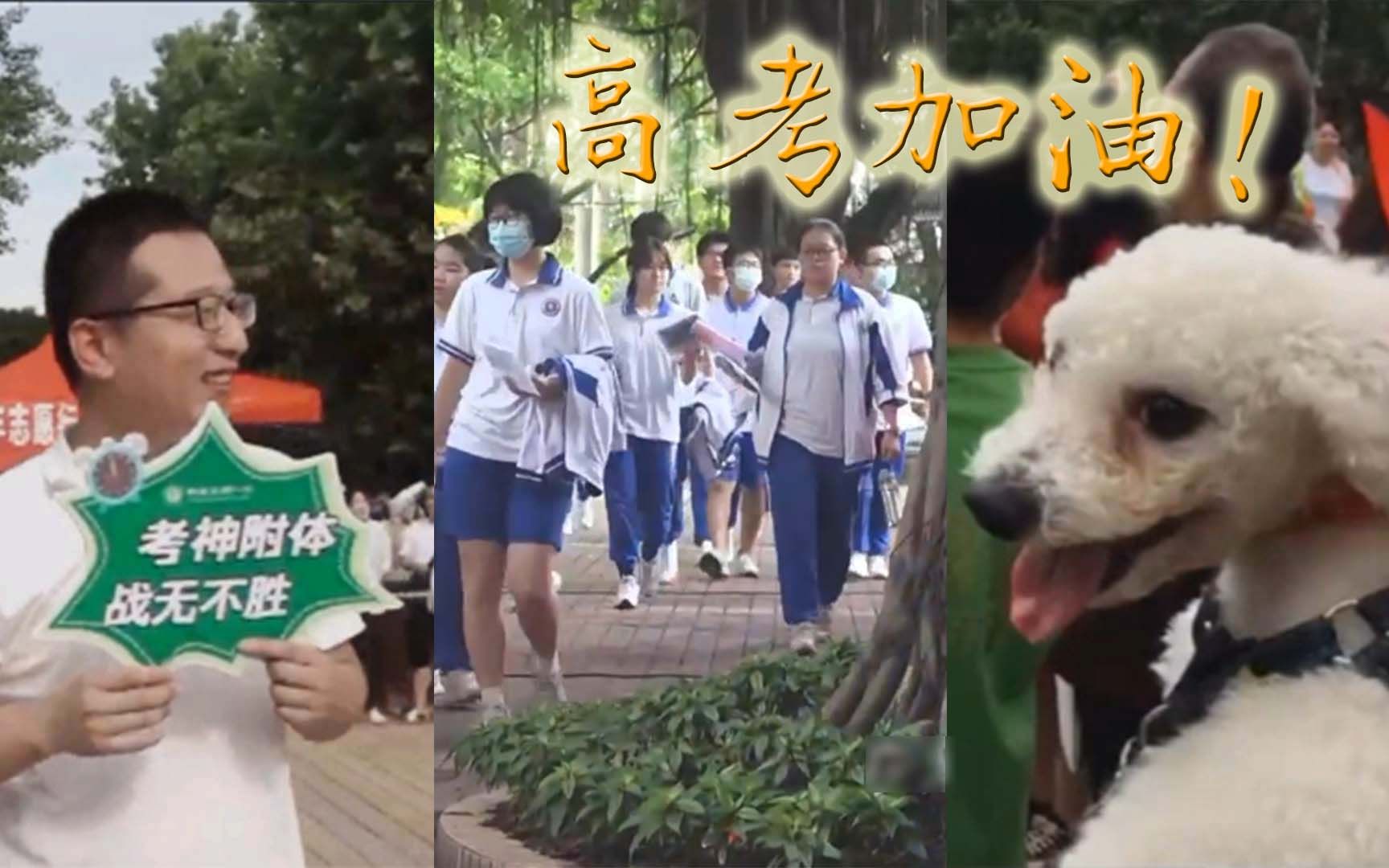 直击全国多地高考第一现场！考生有序进场 家长“花式送考”