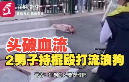 头破血流惨叫连连！黑龙江两男子持棍殴打流浪狗，警方已介入处理