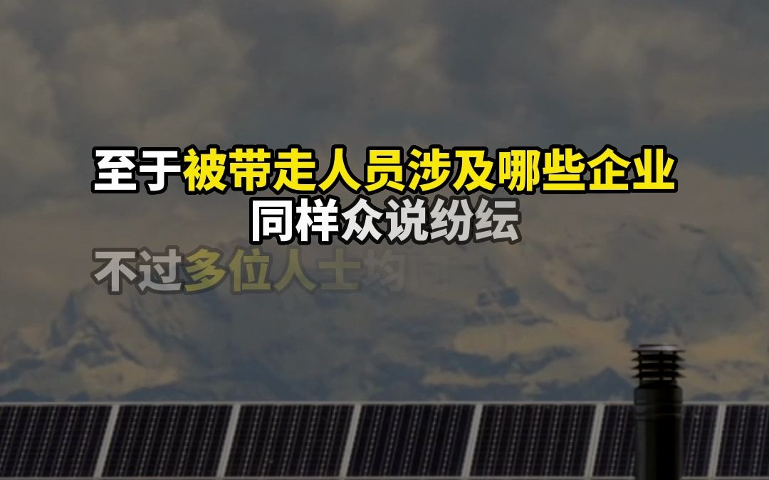 中国光伏企业负责人在德国被带走？或涉及“三角贸易”与签证问题