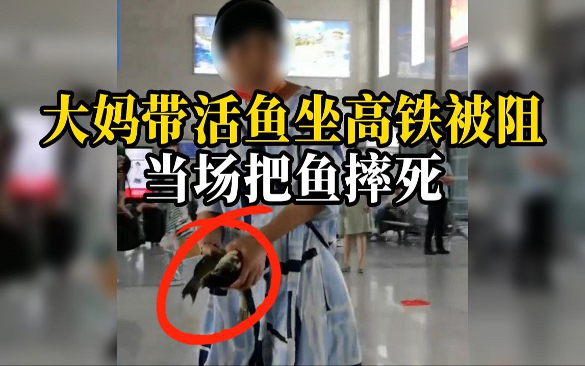 高铁站回应，大妈带活鱼坐高铁被阻当场摔死鱼