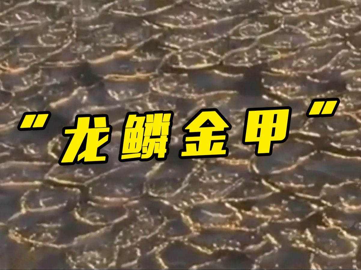 太壮观！“雪龙2”号南极归途遇到“龙鳞”冰