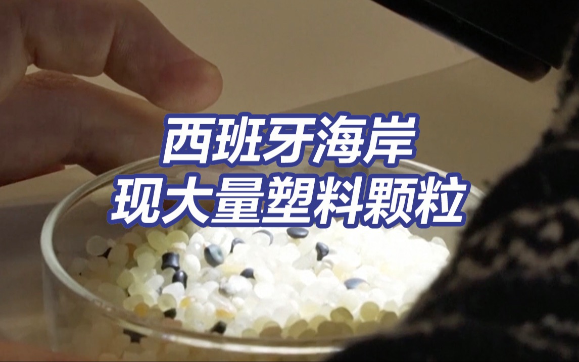 环境紧急状态！西班牙海岸现大量塑料颗粒 或进入食物链