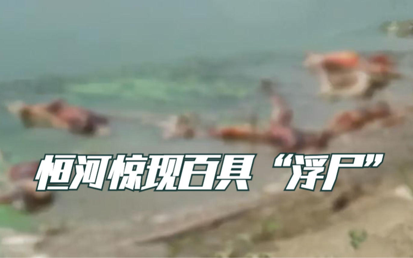 场景凄惨！恒河已现百具“浮尸”：遭野狗啃食，印度无奈设网拦截