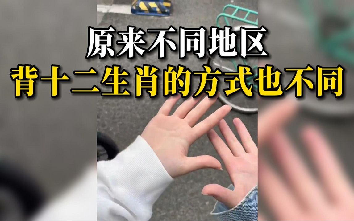 大学女生发现自己背的十二生肖版本与舍友不同