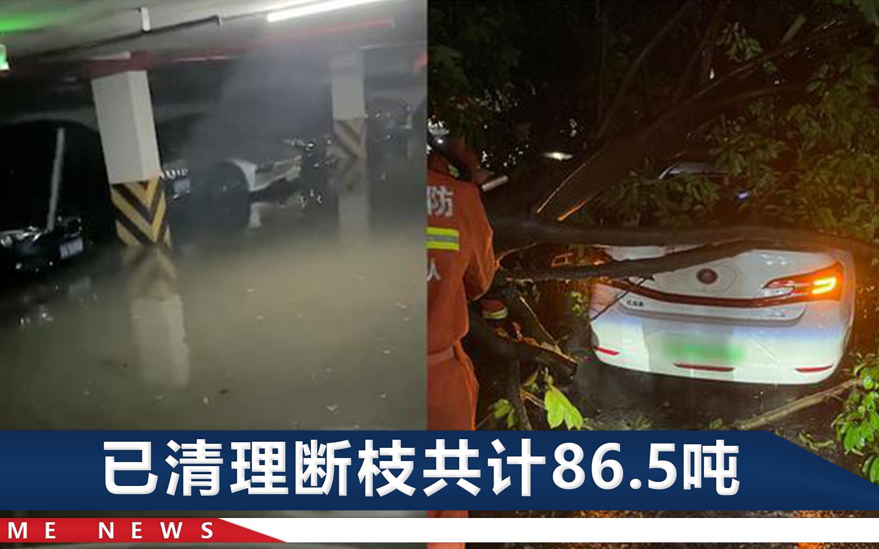 实拍杭州暴雨：208棵树木被吹倒，行人被强风瞬间掀翻