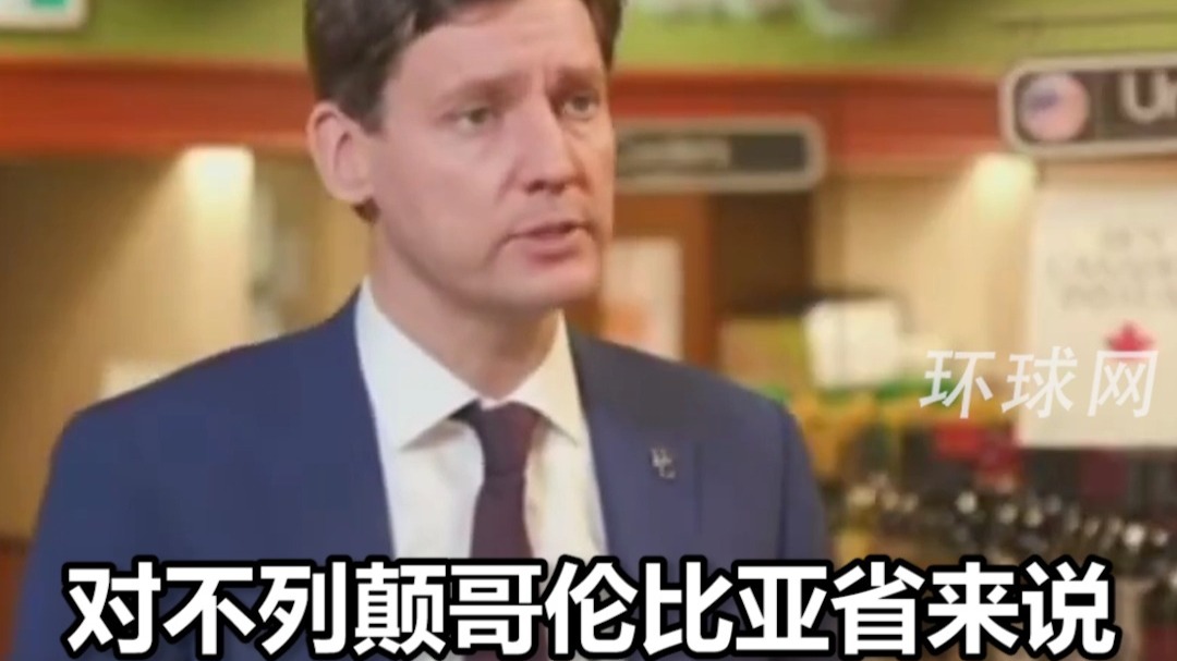面临中美关税夹击，加拿大省长：加拿大最初对华征收关税是为讨好美国，结果我们也没拿到什么好处